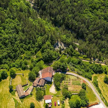 In Istria 아파트